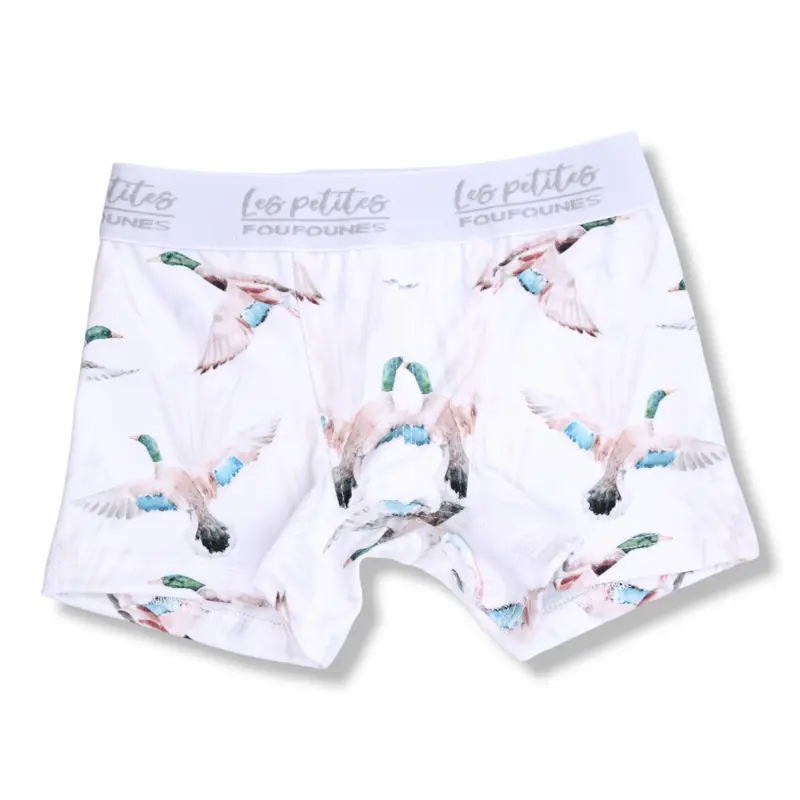 Boxer - Canards Malard