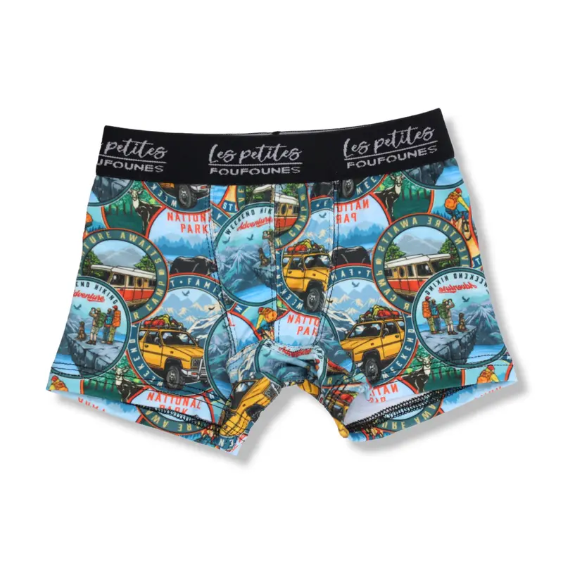 Boxer - Hicking