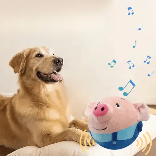 Cochon Sauteur Interactif