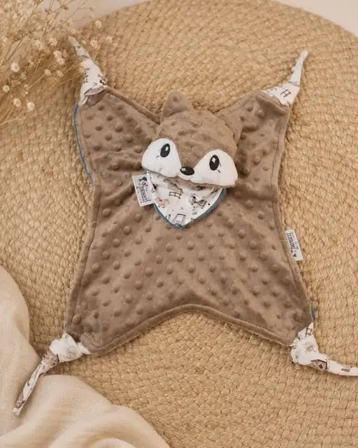 Doudou Raton Laveur