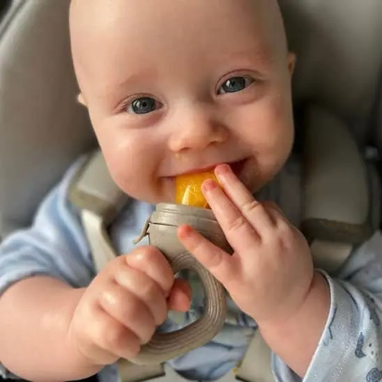Grignoteuse bébé | Sécurifruits
